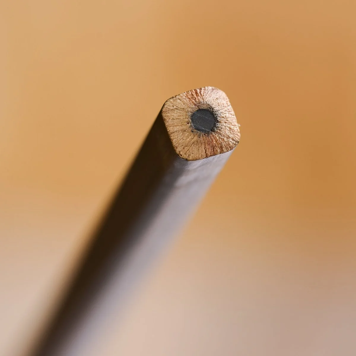 Blackwing Volume 21 - Set of 12 - Image 11