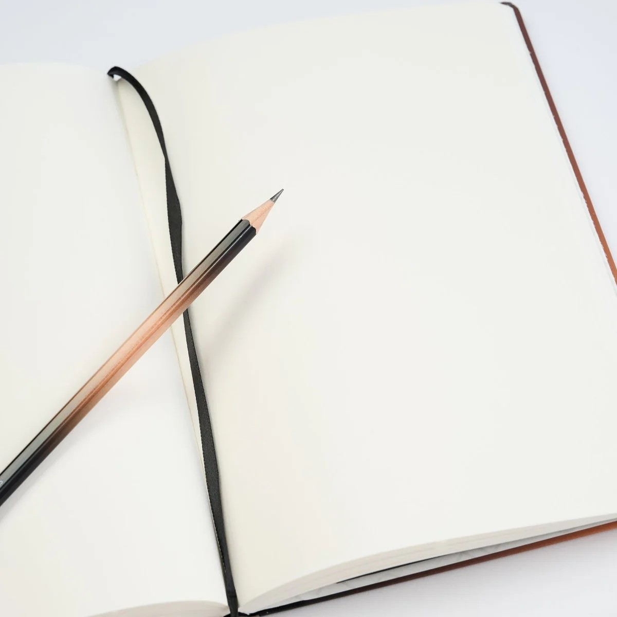Blackwing x Fender Notebook - Image 4